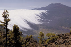 Civil Juicio toma una foto Cómo es el clima de Canarias? - GEVIC-AULA - (GEVIC) Gran Enciclopedia  Virtual Islas Canarias